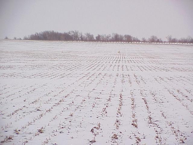 View of the confluence site, looking east.