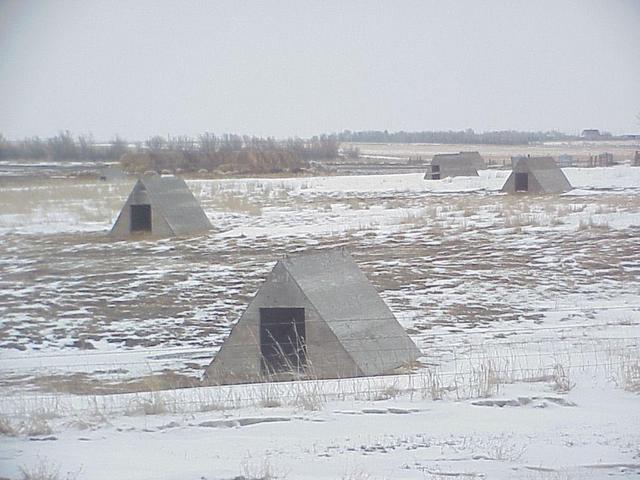 Mystery animal shelters about 2.5 km northwest of the confluence.