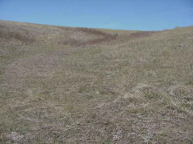 Looking NW up the rolling ravine.