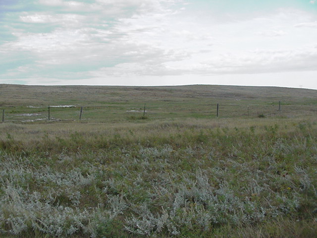 Looking west and the county line fence.