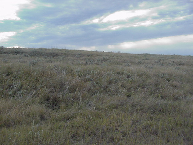 Looking east up a small rise in the terrain.