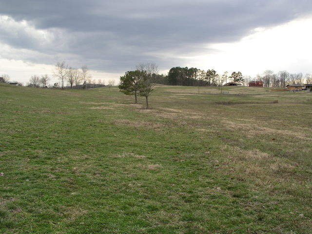 Looking South from 35N 85W.