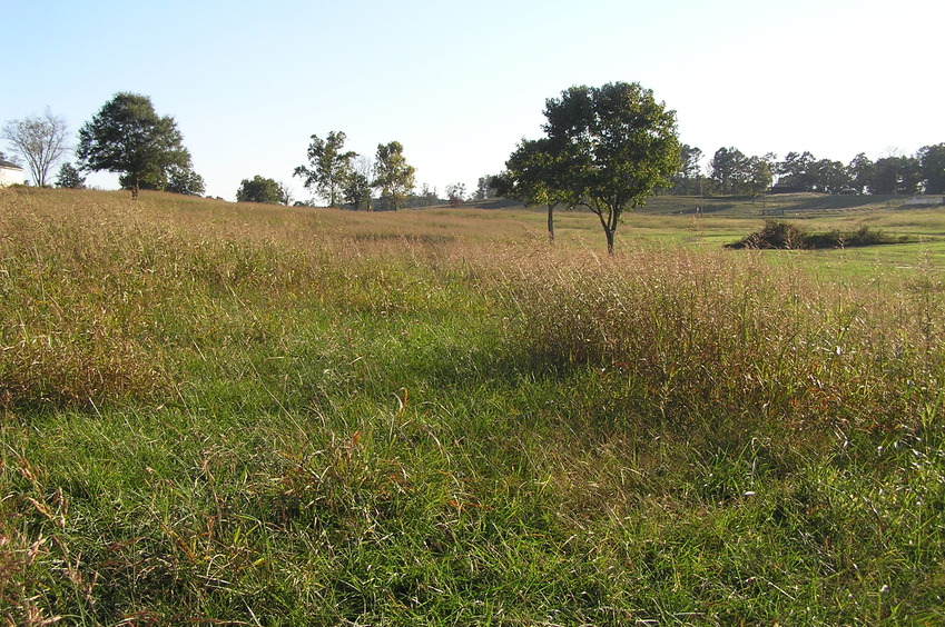 View to the south from the confluence.