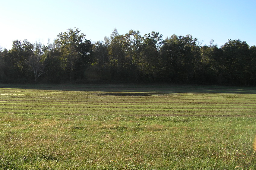 View to the west from the confluence point.