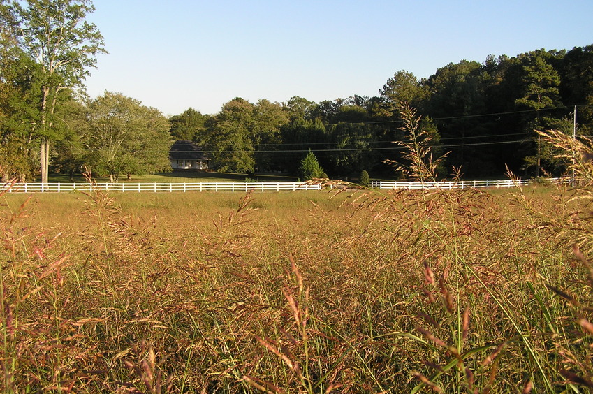  Better view to the east, about 50 meters east of the confluence.