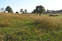 #7: View to the south from the confluence.