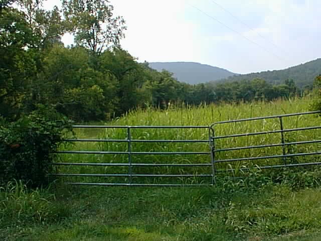 Looking west toward the confluence