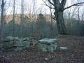 #6: Family cemetery on the mountain below the confluence.