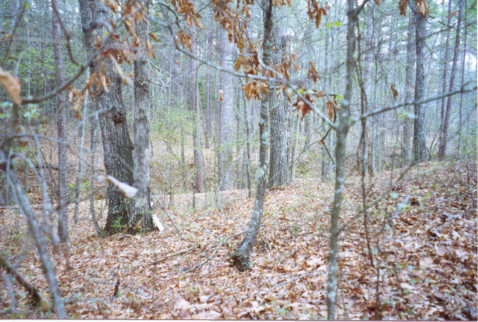 Looking North across confluence point