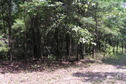 #4: View to the north from the confluence point. 