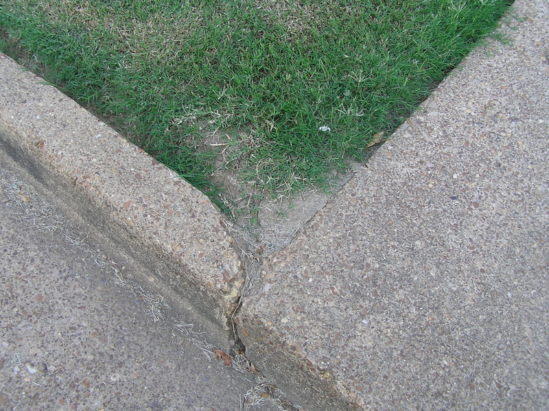 Ground cover at the confluence point.