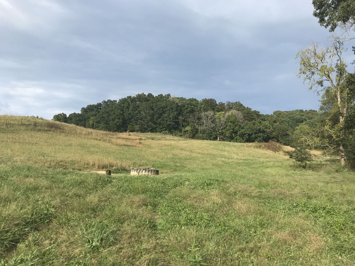 View to the east from the confluence. 