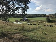 #9: View to the north from the ridge 85 meters north of the confluence. 