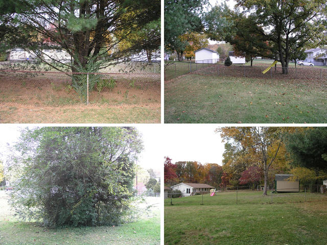 Clockwise from the upper left:  Looking northeast, southeast, southwest, and northwest from 36N 084W.