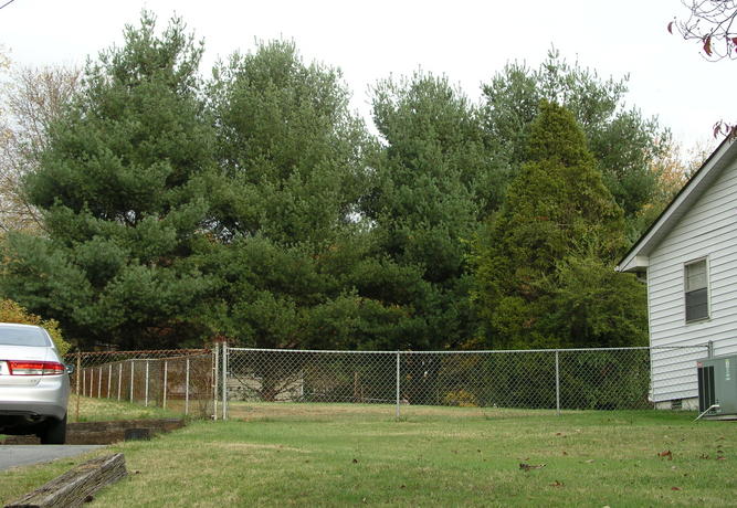 Looking due east to 36N 084W from Wilkerson Road.