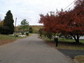 #9: Fall color as seen looking to the southeast from 5809 Stoneleigh Road.