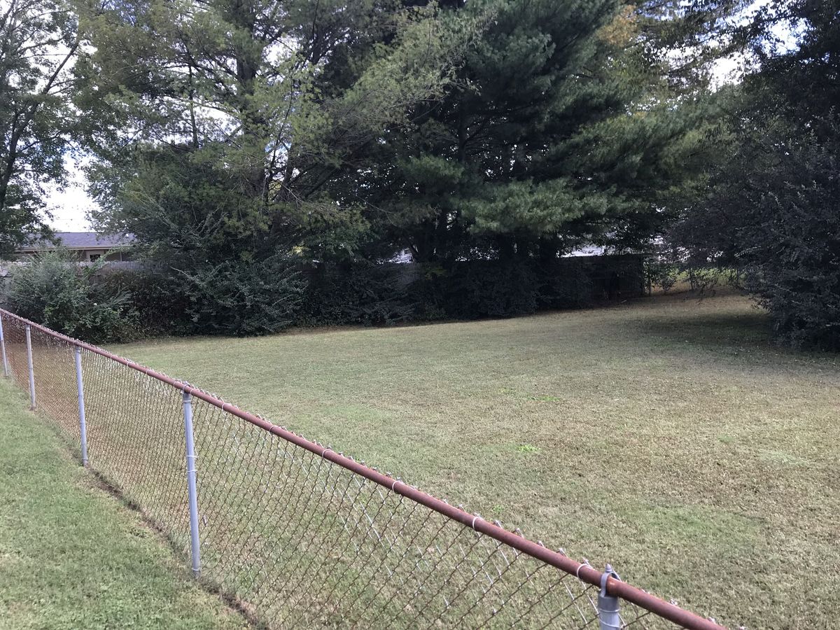 Site of 36 North 84 West, on the right side of the fence, in the shrubs, mid-distance, looking northeast. 