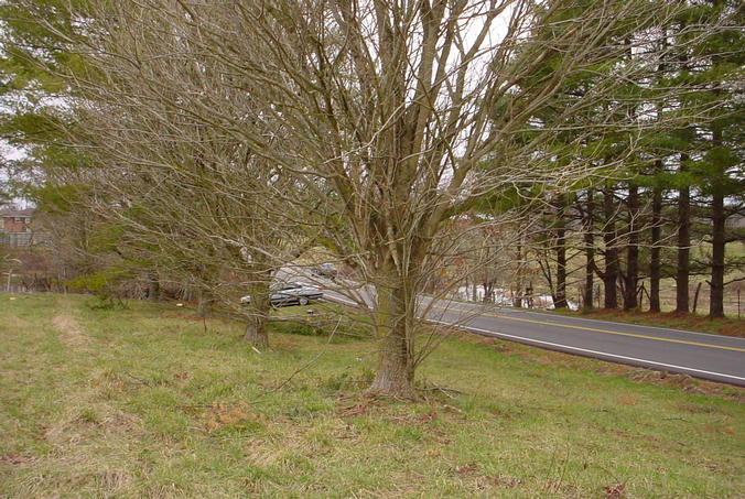 Looking South along Genesis Road