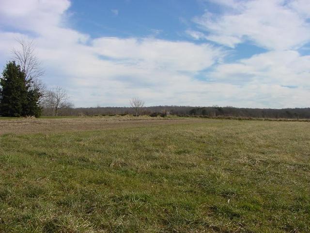 The view to the north from 36N 85W is agricultural.