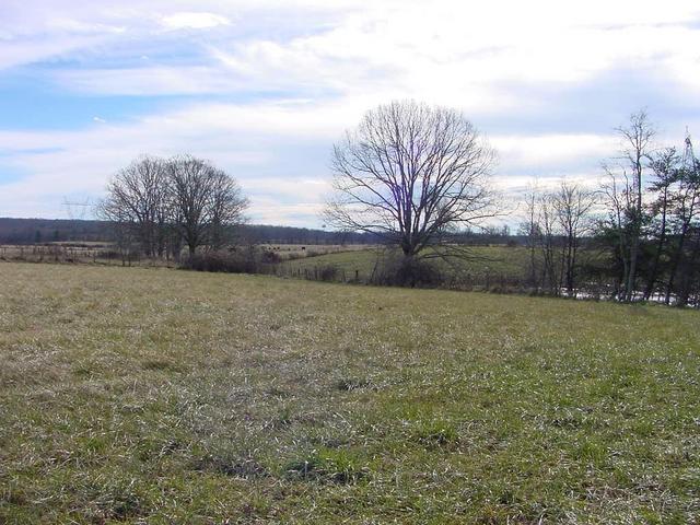 Rolling field are seen looking east from 36N 85W.