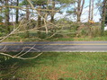 #8: View to the west from the confluence point.