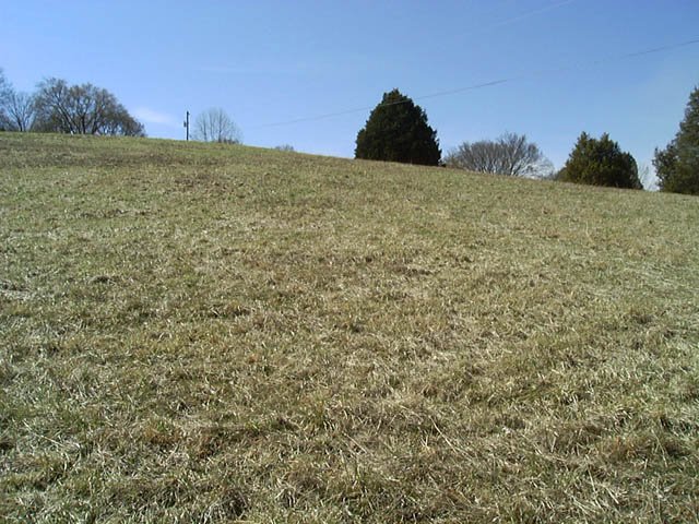 Looking SW from the confluence point