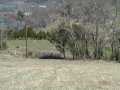 #4: The confluence area with the NE TN countryside beyond