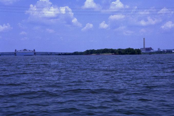 View North from the confluence point