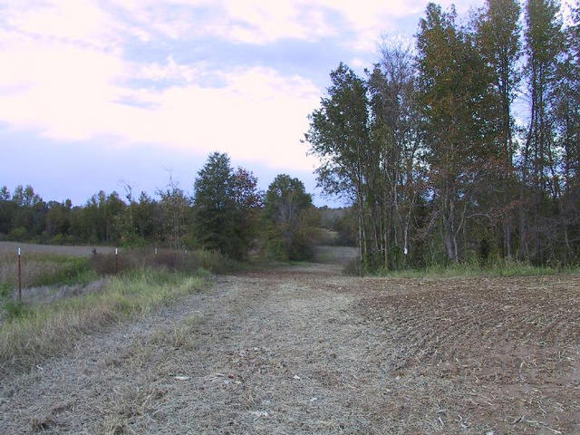 Looking North From Confluence Point