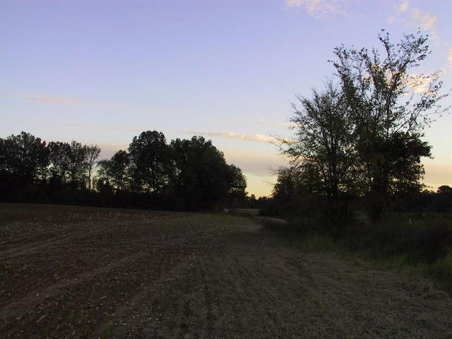 Looking South From Confluence Point