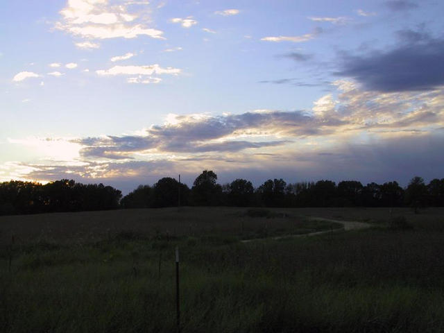 Looking West From Confluence Point