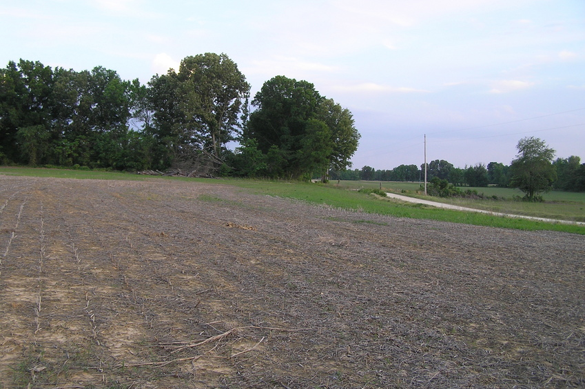 View of 36 North 89 West, in the foreground, looking south.