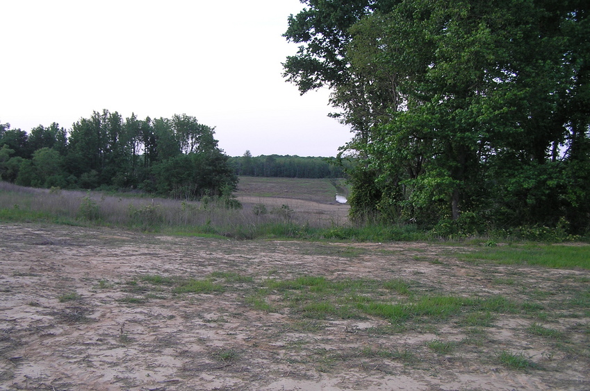 View to the north from the confluence.