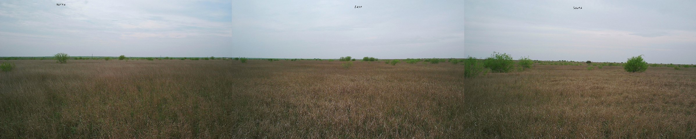 Panorama from the confluence (west didn't come out)