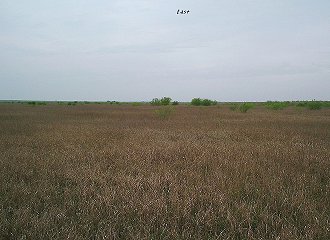 #1: Panorama from the confluence (west didn't come out)