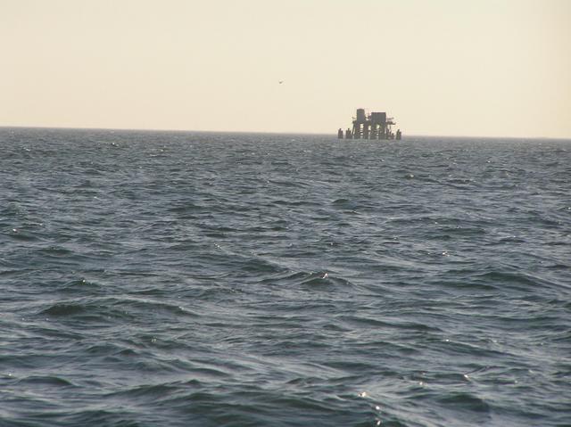 View to the south from the confluence.