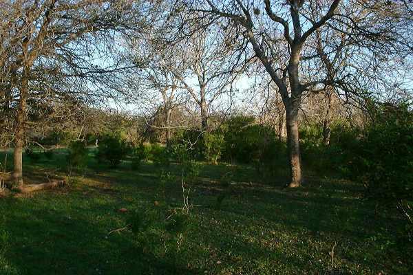 Looking South from the confluence.