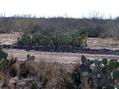 #2: View to the southwest from the confluence.