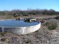 #5: Water tank 100 meters south of confluence.