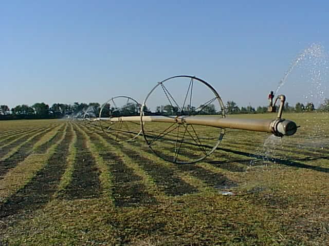 We came across a sod farm on the approach from the north