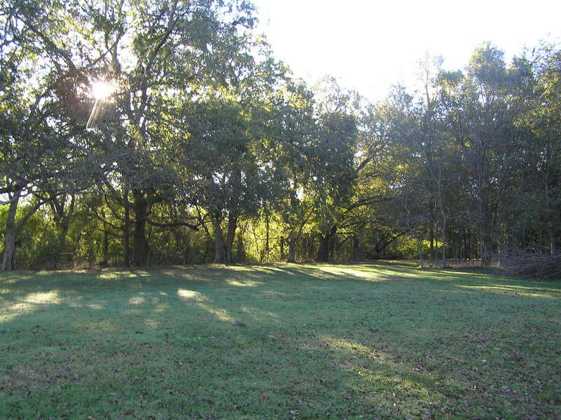 View to the southeast from the confluence.