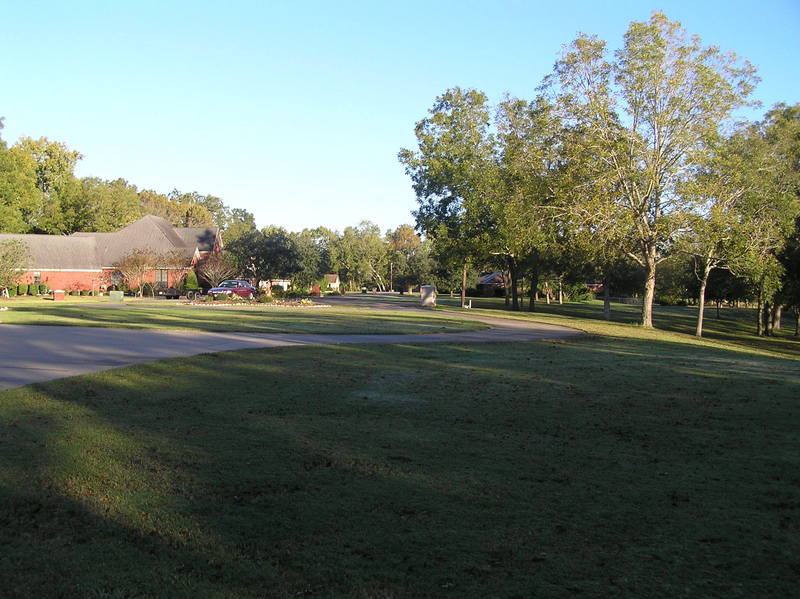 View to the north from about 8 meters east of the confluence.