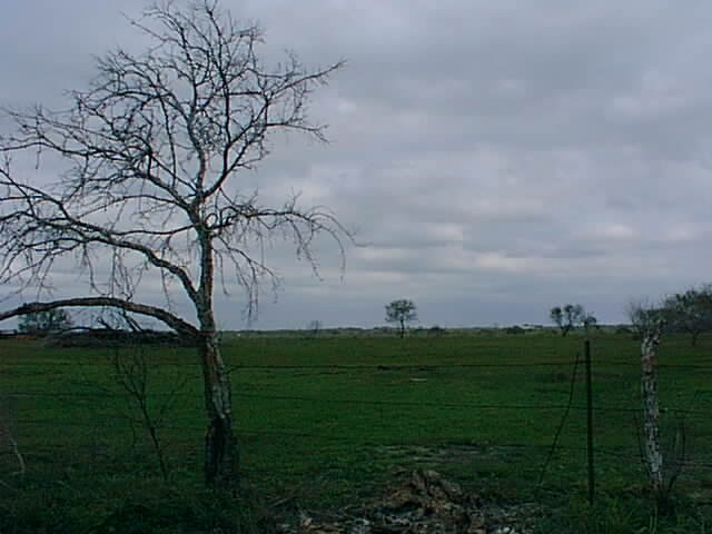 The confluence from the North