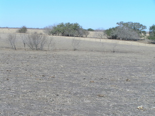 #1: View of the confluence of 29 North 98 West, looking north-northeast.