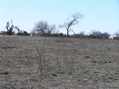 #4: View to the west from the confluence.