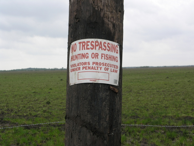 The field is fenced in, and clearly marked