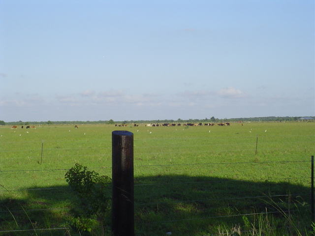 The Confluence Farm