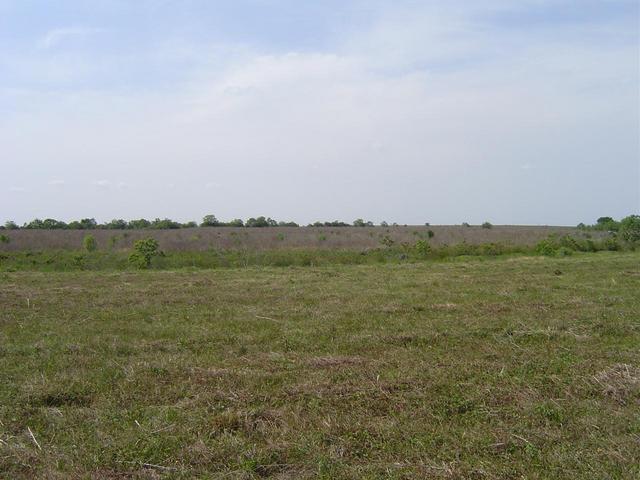 View towards the confluence