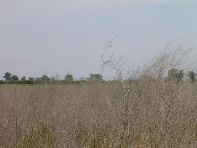 View South...The SUV can be seen parked in the distance