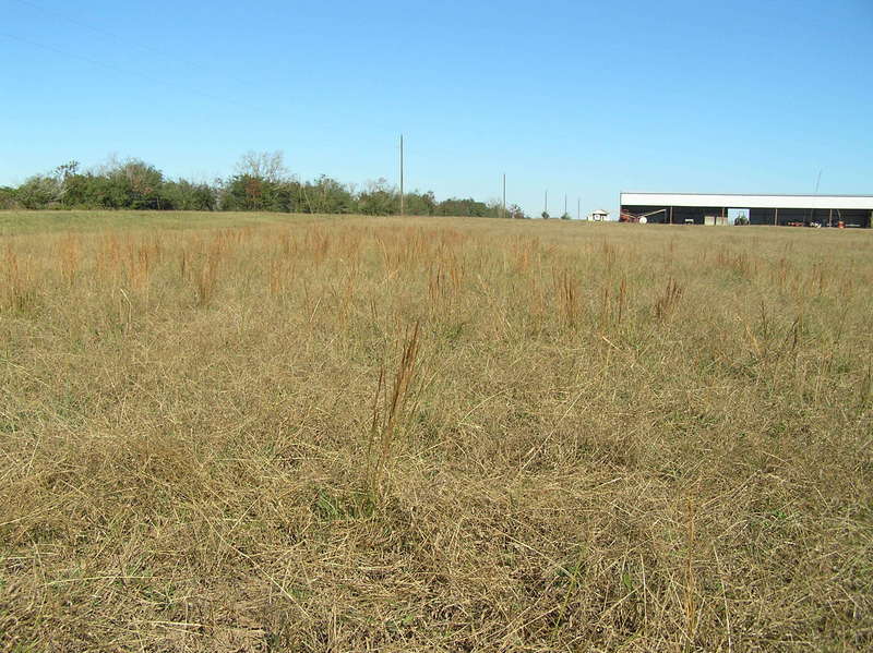 View to the north from the confluence.